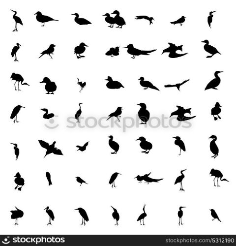 Set of black and white silhouettes of birds: dove, duck, gull, peacock and hummingbird. Vector illustration. EPS10. Set of black and white silhouettes of birds: dove, duck, gull, p