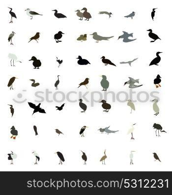 Set of black and white silhouettes of birds: dove, duck, gull, peacock and hummingbird. Vector illustration. EPS10. Set of black and white silhouettes of birds: dove, duck, gull, p