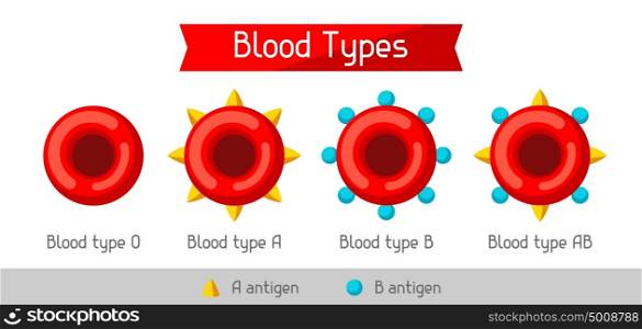 Set of blood cells types. Medical and healthcare infographic. Set of blood cells types. Medical and healthcare infographic.