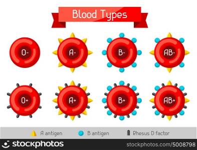 Set of blood cells types. Medical and healthcare infographic. Set of blood cells types. Medical and healthcare infographic.