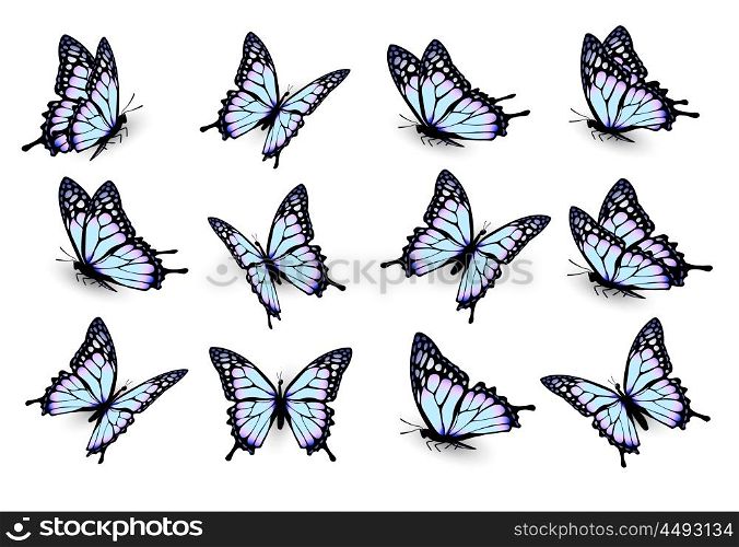 Set of blue butterflies, flying in different directions. Vector.