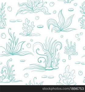 Set of blue outline seaweeds and marine plants. Seamless pattern of algae, leaves, coral. Vintage style drawn marine flora. White background vector illustration.Design for summer beach, decorations.