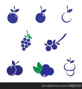 set of blueberry illustration logo vector design