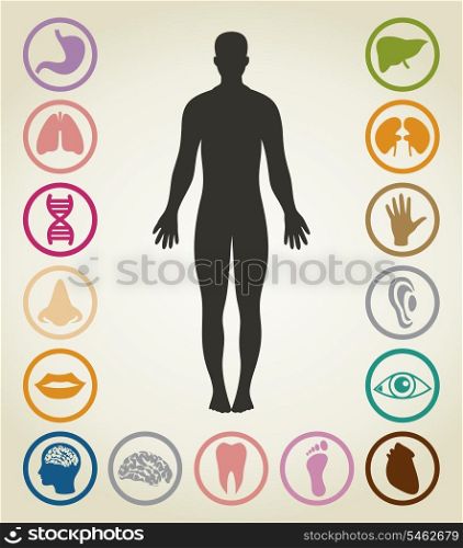 Set of bodies of the person. A vector illustration