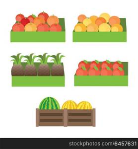 Set of boxes with fruits. Vector in flat design. Fresh apples, oranges, pineapples, pomegranate, melons, watermelons on market. Delivery products, assortment illustration. Isolated on white . Set of Boxes with Fruits Vector Illustration.