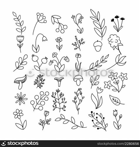 Set of branches and herbs in style of doodles. Flowers and plants drawn with contour line .