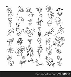 Set of branches and herbs in style of doodles. Flowers and plants drawn with contour line .