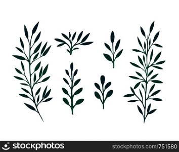 Set of branches with leaves and herbs for design and your creativity. Set of branches with leaves and herbs for design and your creati
