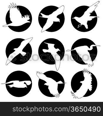 Set of brand collection of logos with birds