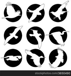 Set of brand collection of logos with birds