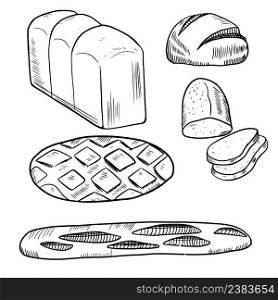 set of breads. Graphics design.