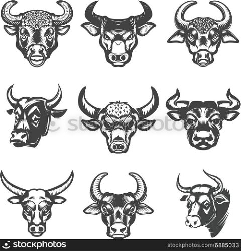 Set of bull heads isolated on white background. Design elements for logo, label, emblem, sign. Vector illustration