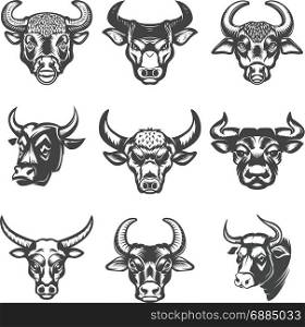 Set of bull heads isolated on white background. Design elements for logo, label, emblem, sign. Vector illustration