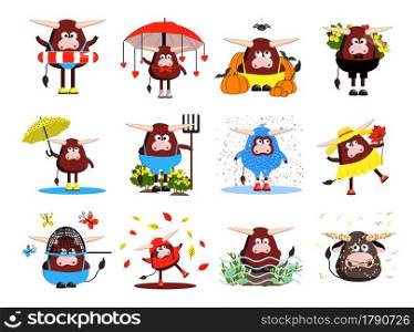 set of bulls characters. 12 bulls, oxen and cows. Funny cute animals. clipart free on a white background. Vector illustration of the symbol of 2021.. set of bulls characters. 12 bulls, oxen and cows. Funny cute animals. clipart free on a white background. Vector illustration of the symbol of 2021
