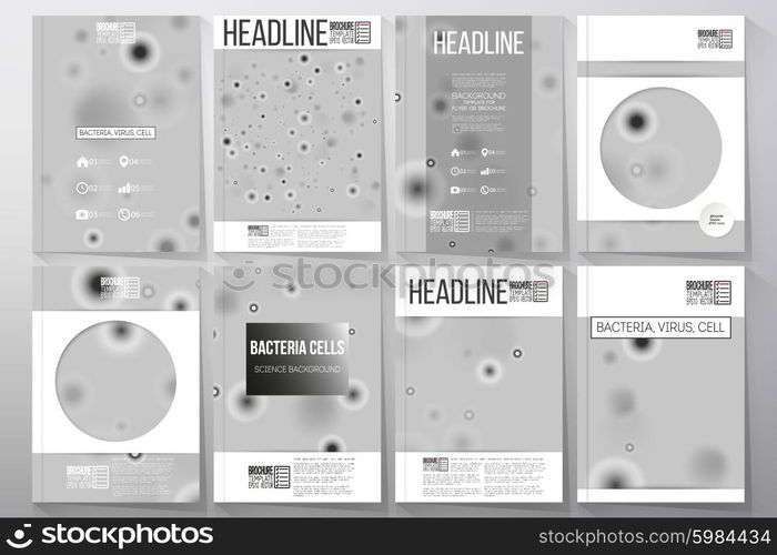 Set of business templates for brochure, flyer or booklet. Molecular research, illustration of cells in gray, science vector background.