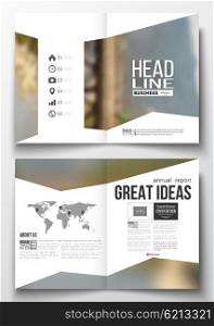 Set of business templates for brochure, magazine, flyer, booklet or annual report. Colorful backdrop, blurred background, modern stylish vector texture.