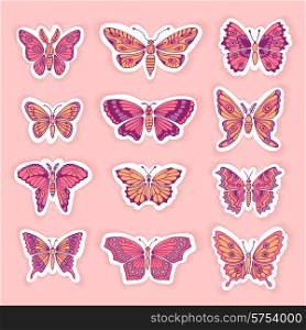 Set of Butterflies Decorative Isolated Silhouettes in Vector.. Set of Butterflies Decorative Isolated Silhouettes in Vector