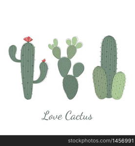 Set of Cactus