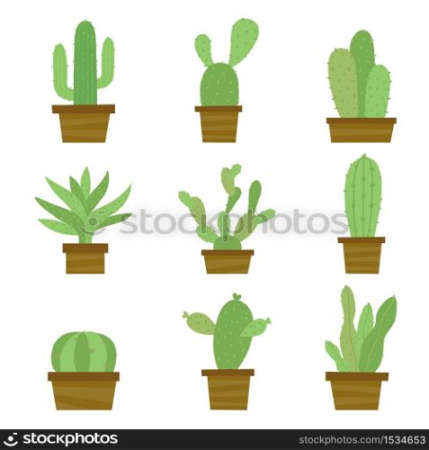 Set of Cactus and Plants in the Pot, Cartoon Vector.