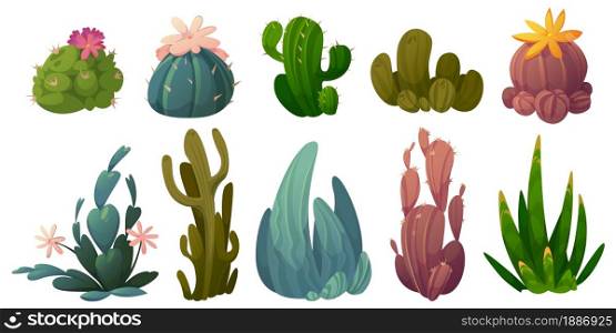 Set of cactus, desert cacti flowers stetsonia, carnegia, selenicereus and rhipsalidopsis with saguaro or opuntia. Cartoon blooming succulents with green prickly leaves and blossoms Vector illustration. Set of cactus, desert cacti flowers vector set