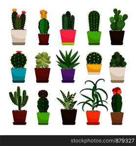 Set of cactus houseplants in flower pots. Vector icons on white background. Cactus houseplants in flower pots set
