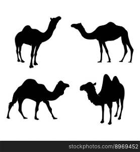Set of Camel Silhouettes. Vector Illustration