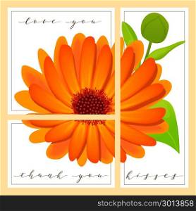 set of cards with words love you and thank you, calendula on the background. set of cards with words love you and thank you, calendula on the background. 3 in 1 poster, invitation, greeting, business card. For decoration, packing, wrapping, prints