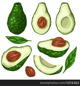Set of cartoon avocados. Various elements of avocado slices with pits and leaves. Keto diet. Ingredients for Guacomole. Vector element for menus, articles, cards and your design.. Set of cartoon avocados. Various elements of avocado slices with pits and leaves. Keto diet. Ingredients for Guacomole. Vector element