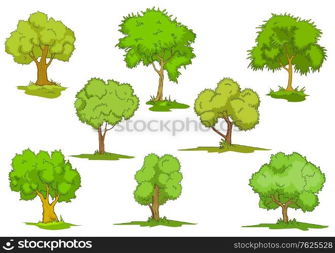 Set of cartoon leafy green trees on grass, design elements isolated on white. Vector set of leafy green trees