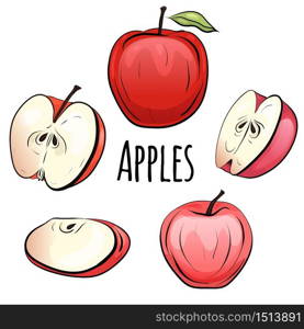 Set of cartoon red apples of different shapes on a white background. Objects separate from the background. Vector element for menu design, recipes, childrens books and your creativity. Set of cartoon red apples of different shapes on a white background.