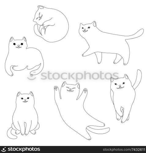 Set of cartoon white cats. Cute pets on white background.. Set of cartoon white cats.