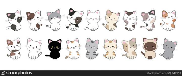 Set of cat on white background vector illustration