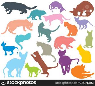 Set of cats different breeds silhouettes (sitting, standing, lying, playing) in different color isolated on white background. Vector colorful illustration. Part 3