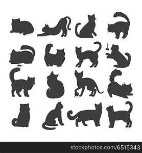 Set of Cats Vector Flat Design Illustration. Different breed cats. European shorthair, exotic, bengal, somali, maine coon cats heads flat vector illustrations set isolated on white background. For pet shop ad, animalistic hobby concepts