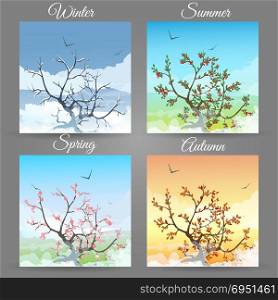 Set of Cherry tree in the different seasons. Vector illustration.