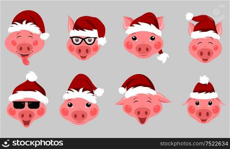 Set of Christmas Pigs with Santa Hats. Symbol 2019 New Year - Illustration Vector. Set of Christmas Pigs with Santa Hats. Symbol 2019 New Year