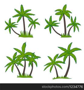 Set of coconut palm tree isolated on white background. Vector illustration.