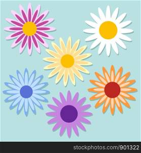 Set of color daisy chamomile. Cute flower plant collection. Stock vector illustration