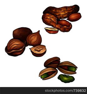 Set of colored cartoon nuts. Peanuts, hazelnut, pistachios. Objects separate from the background. Vector element for menus, recipes, cards and your design.. Set of colored cartoon nuts. Peanuts, hazelnut, pistachios. Objects separate from the background.