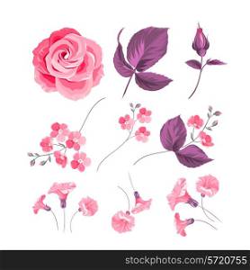Set of colored flower buds isolated over white background. Vector illustration.