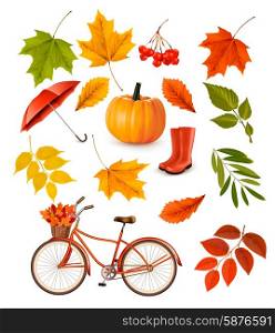 Set of colorful autumn leaves and objects. Vector illustration.