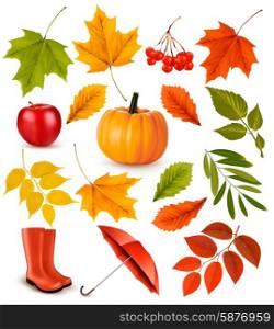 Set of colorful autumn leaves and objects. Vector illustration.