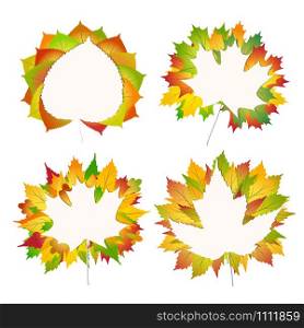 Set of colorful autumn maple, birch, chestnut leaves bouquet on a white paper Back to school background stock Vector illustration
