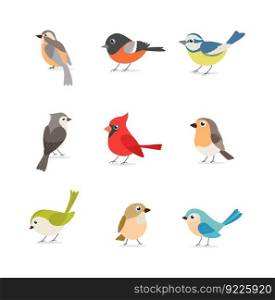 Set of colorful birds isolated on white background	