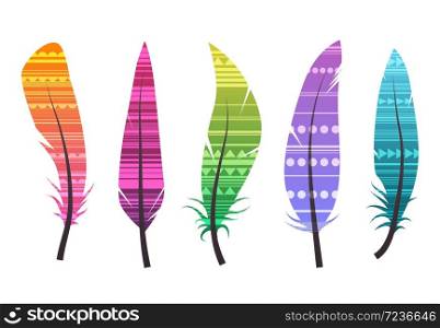 Set of colorful different feathers with ethnic pattern. Vector native elements for your design.. Set of colorful different feathers with ethnic pattern.