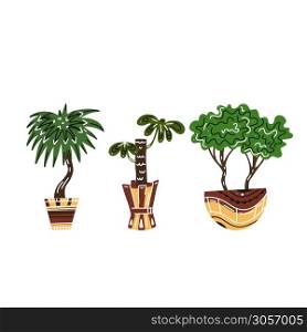 Set of colorful flat house trees in pots with decorations. Palm tree, bonsai and yucca. Boho style. Vector doodle element for card, pins, sticker, card and your creativity.. Set of colorful flat house trees in pots with decorations. Palm tree, bonsai and yucca. Boho style. Vector doodle element