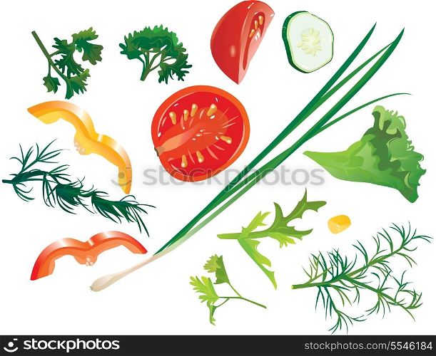 Set of colorful isolated vegetables - tomato, corn, cucumber, onion, sweet pepper, dill, parsley
