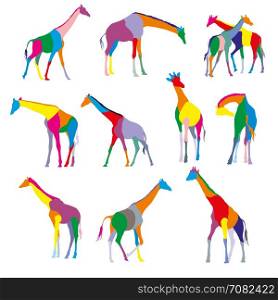 Set of colorful stained silhouettes of giraffes isolated on white bacground
