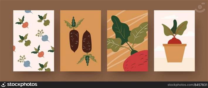 Set of contemporary art posters with root vegetables. Radish, potted beetroot cartoon vector illustrations. Gardening, organic food concept for designs, social media, postcards, invitation cards
