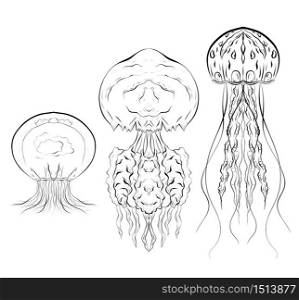 Set of contour black and white illustrations of jellyfishes. The object is separate from the background. Linear illustration for printing on T-shirts, covers, sketches of tattoos and your design.. Set of contour black and white illustrations of jellyfishes. The object is separate from the background.